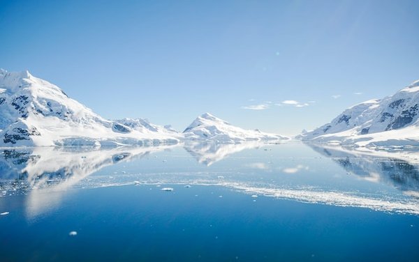 Comment participer à une expédition scientifique pour observer la faune en Antarctique?
